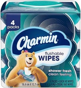 Charmin Flushable Wipes, 160 Total Wipes (4 Packs of 40)