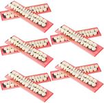 Nuanchu 280 Pcs False Teeth Acrylic Resin Denture Replacement Fake Teeth 10 Sets Denture Tooth Kit Upper Lower Dental Materials 23 A2 for Halloween DIY Dental Education Teeth Teaching Model