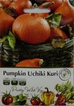 Pumpkin Uchiki Kuri Seeds in Pictorial Packet - 10 Seeds