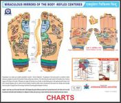 Acupressure Chart Feet