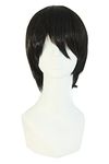 MapofBeauty Fashion Men's Side Bnags Short Straight Synthetic Wig (Black)