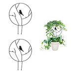 SanSanYa Garden Trellis for Climbing Plants Vine Plant Iron Support Climbing Plant Support Vine Stem Plant Trellis for Vines Ivy Clematis Flowers Rose Jasmine Creeping Decoration (2PCS)