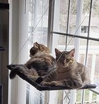 Dracarys Cat Hammock Window Bed Cat Window Perch Sunny Seat, for Kitty Resting Pet Bed Mounted Pet Kitten Cat Beds, Cat Shelves Hold up 40 lbs, Suitable for Window Length ≥29in and Height ≥25in