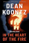 In the Heart of the Fire (Nameless: Season One Book 1)