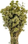 Oregano bunch organic wild sun dried from the Greek mountains, 50g whole oregano bunch dark green with leaves and stems