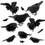 ONEANU Halloween Black Feathered Crows - 8 Pcs Handmade Black Feathered Crow for Halloween Decorations/Black Birds Ravens Props Décor