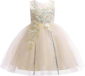 Weileenice Lace Flower Girl Dress Champagne Sequin 4 Toddler Wedding Bridesmaid Ceremony Pageant Formal Ball Gown Tulle Kids Birthday Party Daddy Daughter Dance Elegant Princess Dresses Tutu Concert