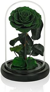 NATROSES Handmade Preserved Roses in Glass Dome, Long lasting Green Roses Real, Flowers for Women