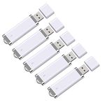 RAOYI 5 Pack 8GB USB Flash Drive Bulk Pack Memory Stick Thumb Drive 8G USB 2.0 Jump Drive Pen Lighter Shape, White