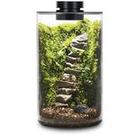 Desktop Glass Plant Terrarium with Grow Light (H:9.8" D:5.9"), for Succulent, Moss, Miniature Gardening Landscape, Betta Fish Tank, Indoor Plant Growth, Office Home Decoration, Plant Lovers Gifts