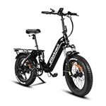 Bodywel F20Pro 20" Foldable E-Bike,250W Brushless Motor, Max Speed 15.5 MPH,748.8Wh Battery, 70-100 km Range, Hydraulic Disc Brakes, Easy Assembly (black)