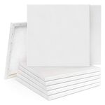 Supernic 10PCS 20x20cm Blank Artist Canvas Art Board Plain Painting Stretched Framed for Painting Enthusiast