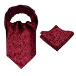 Alizeal Men's Modern Paisley Cravat & Pocket Square Set(Maroon)(Size: One Size)