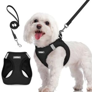 rabbitgoo Dog Harness Small Dog and Leash Set, Step-in Soft Mesh Puppy Harness with Reflective Strips, Lightweight Breathable Pet Vest for Walking Training, Black, M