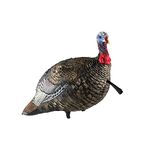 AVIAN-X AVX8003 Hunting Decoys Turkey, Multi