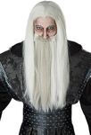 Adult Dark Wizard Wig and Beard Set Standard