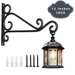 Fashion&cool Wall Hanging Plant Brackets, 12 Inch Heavy Duty Retro Outdoor Indoor Hand Forged Cast Iron Bracket Hummingbird Plant Hanger Hook for Hanging Plants Bird Feeder Lantern Wind Chimes