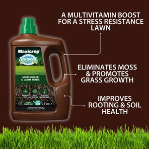 Maxicrop Moss Killer & Lawn Tonic, 2.5L – Green