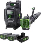 Greenworks 82V Dual Port Backpack B