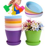 Taasmoog Colorful Plastic Plant Pots, 8Pcs Plant Containers in 8 Colors with Colorful Plant Labels Nursery Flower Planter Pots with Pallet for Indoor and Outdoor Use (10 cm)