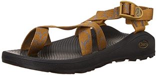 Chaco Men's Zcloud 2 Sandal, Aerial Bronze, 10 UK