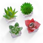 Cute Succulent Fridge Magnet, 4-Pieces 3D Plant Magnets for Refrigerator Whiteboard Mini Decorative Magnets for Kitchen Office (Red)