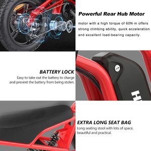 Hidoes B6 Fat Tire Electric Bike – All-Terrain E-Bike for Adults