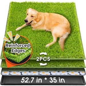 Hompet Dog