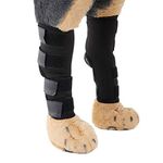 TAILTEC 1 Pair Comfortable Dog Legs Braces Canine Rear Hock Joint Support Compression Wraps Pet Front Hind Legs Knee Pad Carpal Splint Elbow Braces Protect Back Legs Wounds Injuries Sprains Arthritis