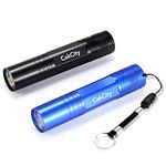 2 Pack Small LED Keyring Torch, Mini Pocket Torch for Kids, Simple Flashlight Ultra Bright, Waterproof, Portable, with Aluminum Alloy, for Camping Hiking Climbing Dog Walking Outdoors