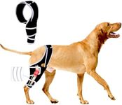 Dog Knee Brace for Torn ACL Hind Le