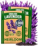 HOME GROWN Premium English Lavender Seeds, 3000 Non-GMO Herb Seeds, USA-Sourced Wildflower Seed for Planting Indoor/Outdoor, High Germination, Plant Flower Seeds