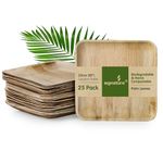 Signature Packaging - Disposable Palm Leaf Plates - Sturdy, Large Square Plates - 25cm, 25 Pack