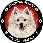 My Best Friend American Eskimo Dog 