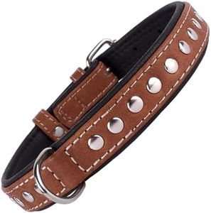 CollarDirect Studded Dog Collar Leather Pet Collars for Dogs Small Medium Large Puppy Soft Padded Brown Black (Brown, Neck fit 23" - 26")