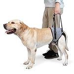 Dotoner Dog Lifting Harness, Dog Support Harness for Back Legs, Soft Dog Support Sling for Injured Disabled Small, Medium Large Dogs, Dog Sling for Back Legs, Dog Lift Support Harness(M,Grey)