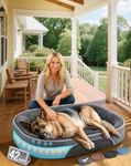 OhGeni Orthopedic Big Dog Couch X-L