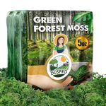 DUSPRO Green Moss for Craft, Artificial Moss for Potted Plants, Preserved Moss Decorative with Centerpieces for Table Wedding Party - Forest Moss Art of Fairy Garden, Terrarium, DIY Project 140gr