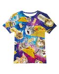 Boys Summer Clothes Kids T-shirt Short Sleeve 3D Graphic Printed Top Tees Youth Casual Tee Shirts (Cat, 7-8 Years)