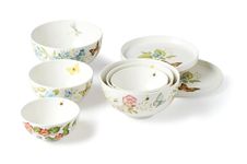 Lenox Butterfly Meadow Luna Nesting Dinnerware Set, 10.85 LB, Multi