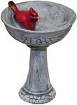 G & F Products MiniGardenn 10027 Fairy Garden Polyresin Miniature, Cardinal Birdbath Pick