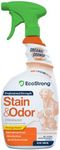 Orange Odor Eliminator | Pet Odor Deodorizer for Strong Odor | Enzyme Stain Cleaner for Cats, Dogs, and Pets | Great for Carpets, Furniture, Dog Kennels, and More… (32 Oz)