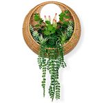 Hanging Artificial Succulent Planted in Woven Basket for Boho Wall Decor & Door Wreath,Fake Plants Hanging Wall Decor for Livingroom Bedroom Bathroom Home & Office Decor