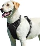 Eagloo Dog Harness No Pull, Walking