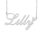 Silver Lilly Name Necklace Heart Charm Pendant Stainless Steel Mother Day Jewelry for Best Friends Familys 16"