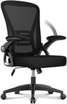 naspaluro Office Chair Ergonomic De