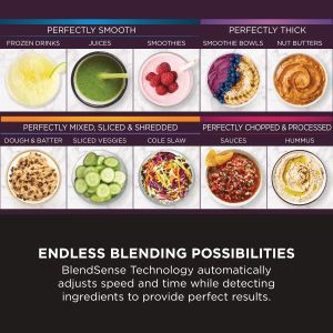 Ninja 3-in-1 Power Blender – Stone Gold, Multi-Function