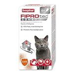 Beaphar | FIPROtec® COMBO for Cats & Kittens | Kills Fleas, Flea Eggs & Ticks | Stops Fleas Multiplying on Pet and in Home | Vet Strength Treatment | 6 Pipettes