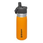 Stanley IceFlow Stainless Steel Water Bottle with Straw 0.65L - Keeps Cold For 12+ Hours - Leakproof Insulated Water Bottles - BPA-Free Thermos Flask - Dishwasher Safe - Saffron