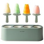 Popsicle Mold Set, Ice Block Moulds